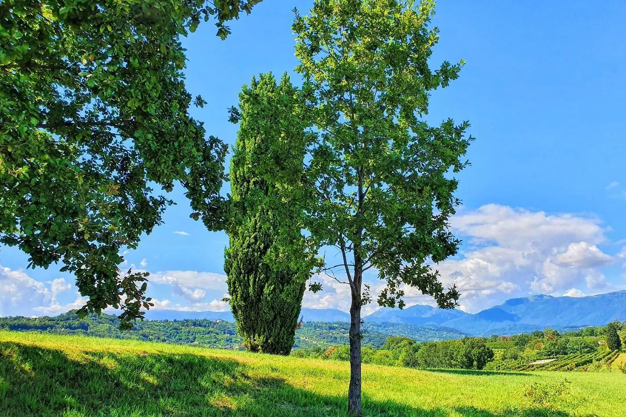 Tenuta Mani Sagge San Pietro Di Feletto Farm stay